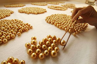 流光溢金 揭秘價(jià)比黃金的稀世珍珠